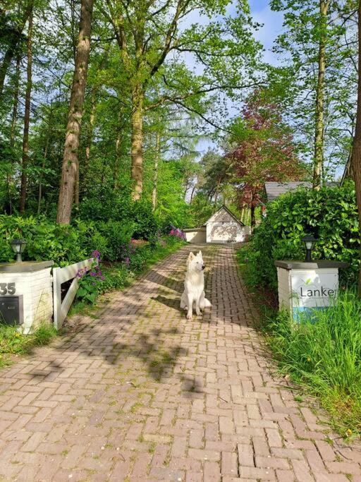 Lanke Garden Studio Rijsbergen المظهر الخارجي الصورة